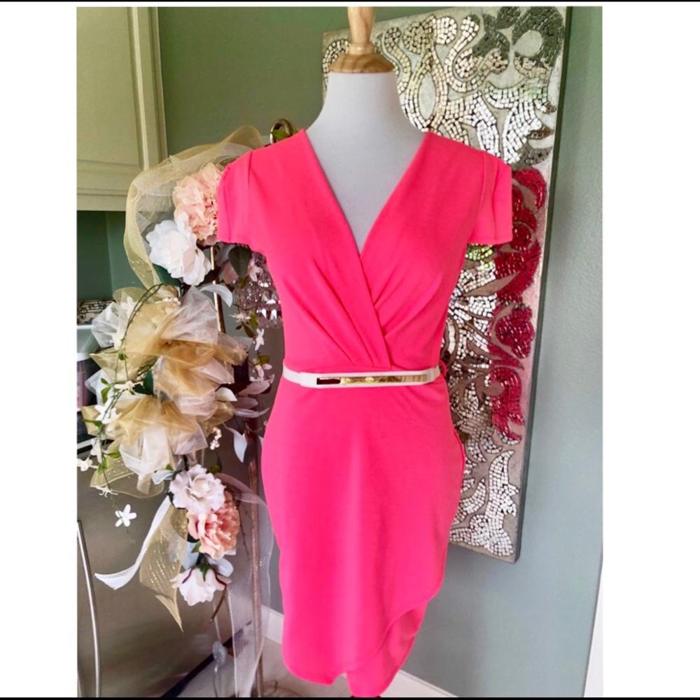 Lavo Collections Pink Dress Size Large with Belt